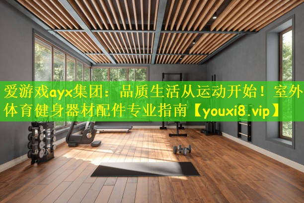 爱游戏ayx集团：品质生活从运动开始！室外体育健身器材配件专业指南