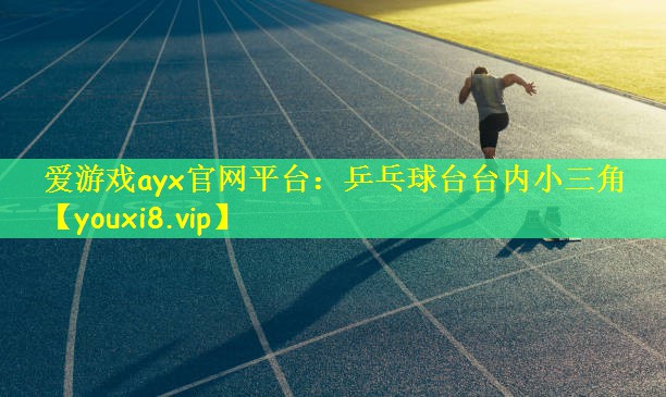 爱游戏ayx官网平台：乒乓球台台内小三角