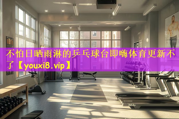 不怕日晒雨淋的乒乓球台即嗨体育更新不了