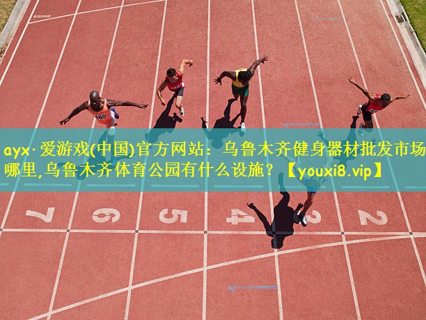 ayx·爱游戏(中国)官方网站:乌鲁木齐健身器材批发市场在哪里,乌鲁木齐体育公园有什么设施?