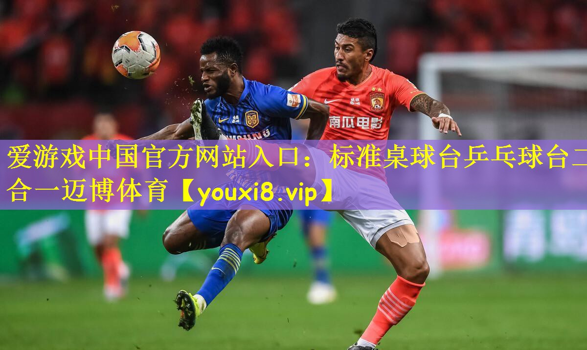 爱游戏中国官方网站入口：标准桌球台乒乓球台二合一迈博体育