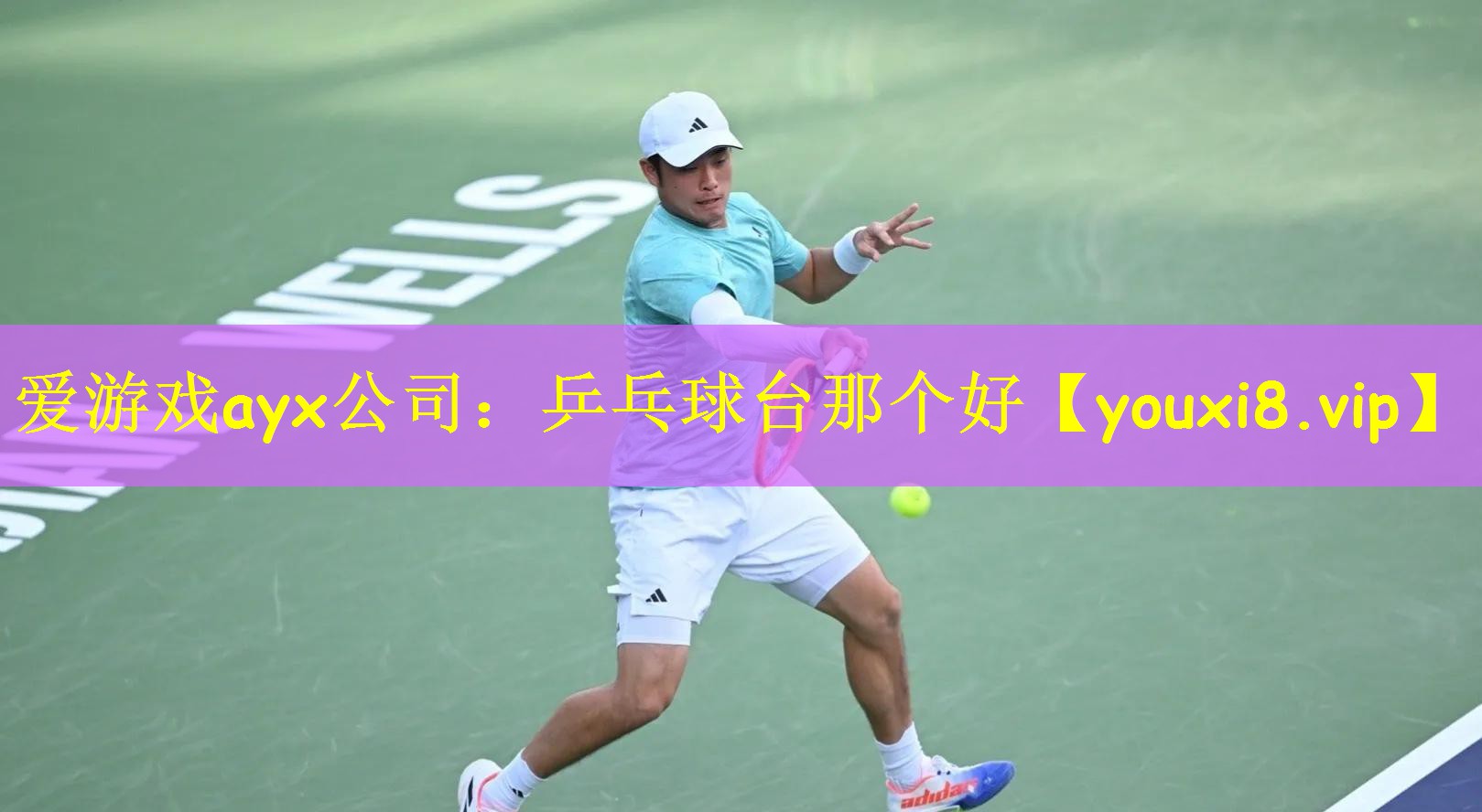 爱游戏ayx公司:乒乓球台那个好