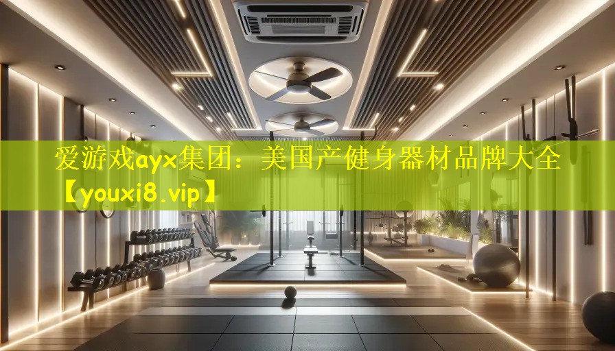 爱游戏ayx集团：美国产健身器材品牌大全