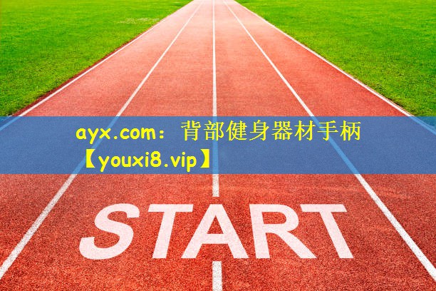ayx.com：背部健身器材手柄
