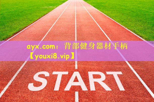 背部健身器材手柄