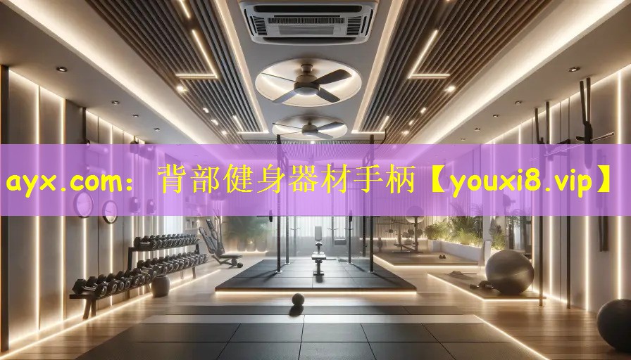 背部健身器材手柄