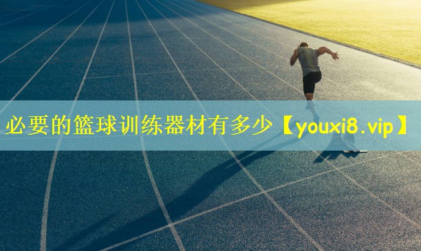 必要的篮球训练器材有多少